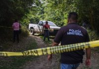 Veinte municipios de Veracruz concentran 64 % de delitos