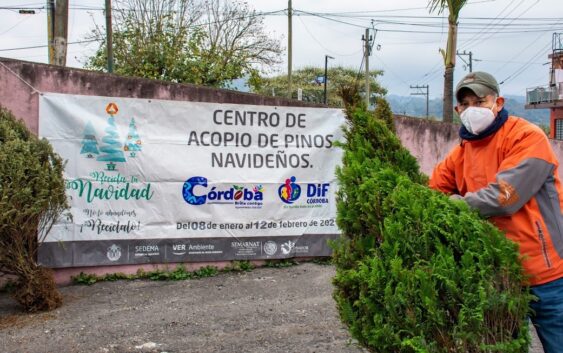 Invitan a aprovechar campaña Recicla tu Navidad en Córdoba