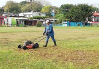 Refuerza Gobierno Municipal acciones de mantenimiento en áreas verdes