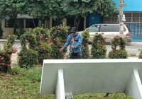 Trabaja Minatitlán en mantenimiento de áreas verdes de Biblioteca Viriato Da Silveira