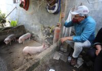 “El bienestar llegó a nuestros hogares”, habitantes de Tonayán destacan beneficios palpables de SEDESOL