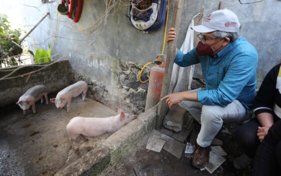 “El bienestar llegó a nuestros hogares”, habitantes de Tonayán destacan beneficios palpables de SEDESOL