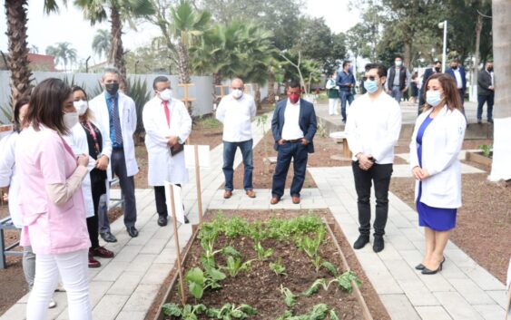 IMSS EN VERACRUZ SUR CUENTA CON HUERTOS EN SUS UNIDADES MÉDICAS E INAUGURA HUERTO