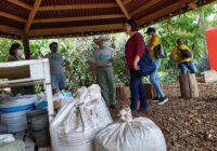 Rosalinda Galindo recorre el Parque Lineal Quetzalapan-Sedeño