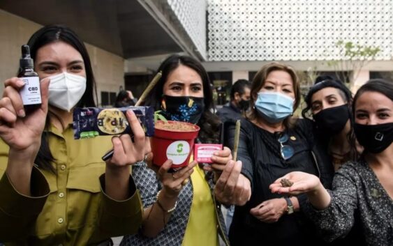 ¡Histórico! Diputados avalan el uso lúdico de la mariguana; ley regresa al Senado