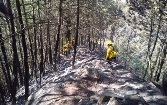 Se reporta liquidado el incendio forestal de Tatatila