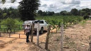 Localizan cadáver en fosa clandestina en un rancho de Soconusco
