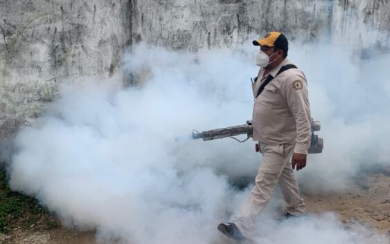 Permanente la lucha contra el Dengue en Minatitlán
