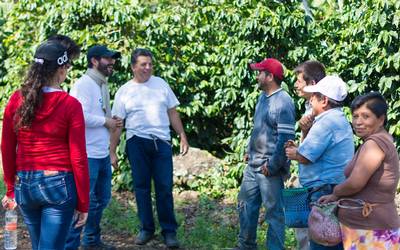 Café veracruzano, el mejor de México: Luis Murillo