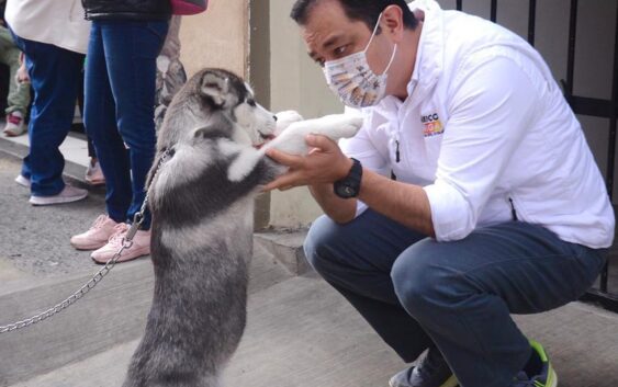 Fundamental, elevar cultura de cuidado y protección animal: Américo Zúñiga