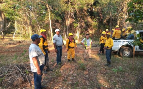 Reporte de atención a incendios