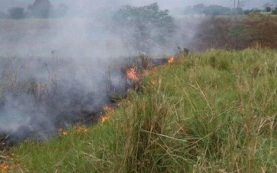 Siguen los incendios pastizales en Xalapa