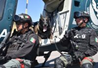 Avanza Veracruz en orden y seguridad, revela informe