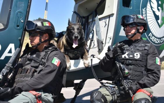 Avanza Veracruz en orden y seguridad, revela informe