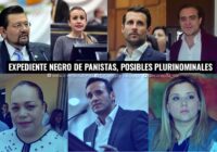 Panistas VIP, los “palomeados” a diputados pluri en Veracruz