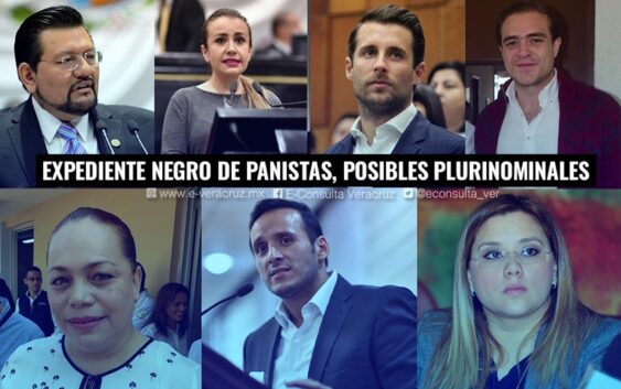 Panistas VIP, los “palomeados” a diputados pluri en Veracruz