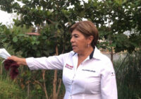 Vamos por rescate del sistema lagunar de Veracruz: Rosa María Hernández Espejo