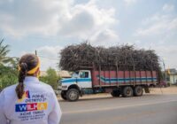 Wilka: trabajará por el sector cañero!!!