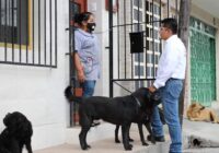 Vamos a fomentar el respeto hacia los animales: Ricardo Pérez