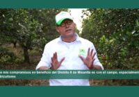 Uno de mis compromisos en beneficio del Distrito 8 de Misantla es con el campo, espacialmente con los Citricultores