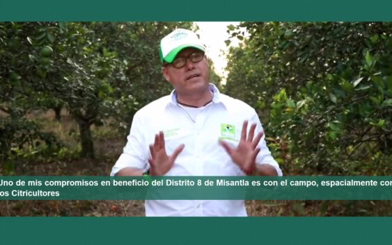 Uno de mis compromisos en beneficio del Distrito 8 de Misantla es con el campo, espacialmente con los Citricultores