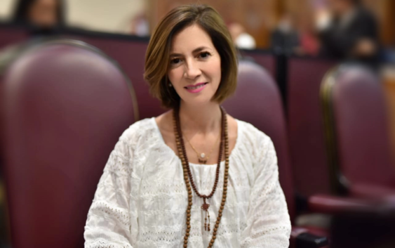 Al Congreso federal, propuesta para prohibir discriminación por ejercer alguna profesión