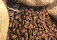 Vinculará SEDARPA a caficultores con los principales mercados internacionales del grano de especialidad