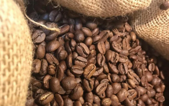 Vinculará SEDARPA a caficultores con los principales mercados internacionales del grano de especialidad