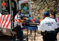 Niña muere junto a sus mascotas; se cree que fueron envenenados