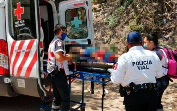 Niña muere junto a sus mascotas; se cree que fueron envenenados