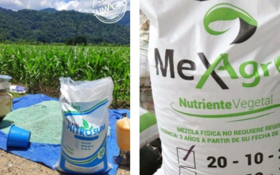 Reconocidas marcas empleadas en zonas como Cardel, Lerdo y Tuxtepec