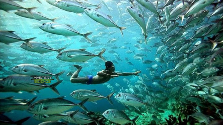 Existe una tribu que ha mutado y puede sumergirse a 60 metros bajo el mar