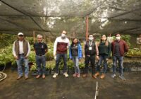 Se sembrarán más de 4 mil árboles para reforestar planteles de educación Media Superior y Superior mediante el programa “Escuela Verde”.