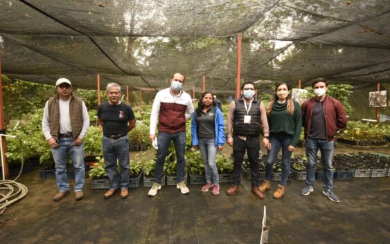 Se sembrarán más de 4 mil árboles para reforestar planteles de educación Media Superior y Superior mediante el programa “Escuela Verde”.
