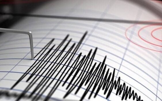 Temblor de 5.6 sacude la costa de Nayarit