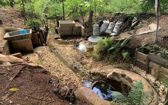 Podría convertirse la Reserva de manantiales de Acayucan en un parque ecológico