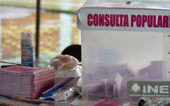 Consulta