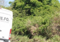 Encuentran ejecutados a hijo de alcaldesa y a exlíder del PAN de Loma Bonita