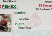 Gasolinera adopta a un perro sin hogar y lo nombra “empleado de seguridad”