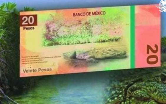 Banxico alista salida de Juárez y Morelos en nuevos billetes de 20 y 50 pesos