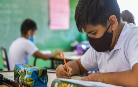 UNICEF respalda el regreso a clases presenciales, pero pide a la SEP más información