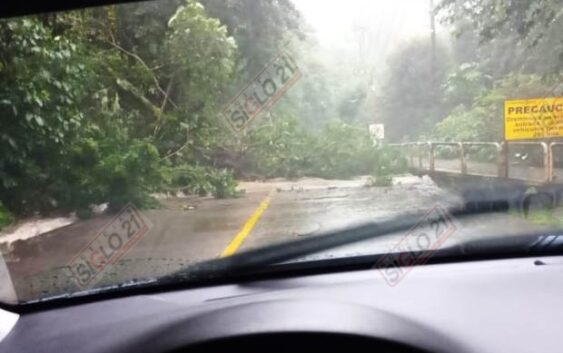 Cierre total en la carretera «Briones» Xalapa-Coatepec, por deslave