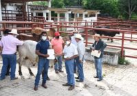 Apoyo a los productores ganaderos