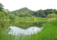 Daño ecológico a Río Catemaco por inoperancia de planta de tratamiento de aguas residuales Catemaco