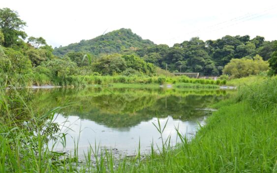 Daño ecológico a Río Catemaco por inoperancia de planta de tratamiento de aguas residuales Catemaco