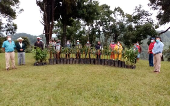 Beneficia Ayuntamiento a productoras rurales de Córdoba