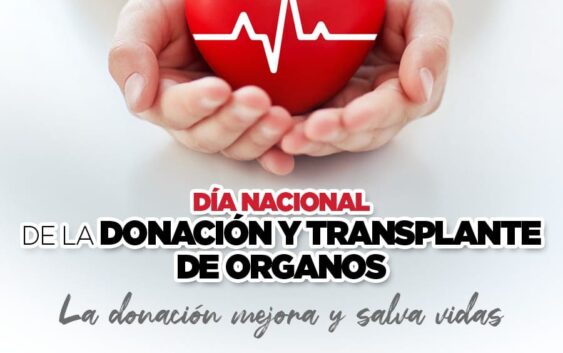Día Nacional de la donación de trasplante de órganos