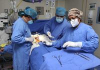 En 2021 IMSS ha realizado mil 69 trasplantes y procurado 371 donaciones cadavéricas