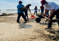 Pozos Castro se une a brigada de limpieza de playa de Tuxpan tras paso de Grace
