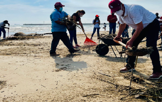 Pozos Castro se une a brigada de limpieza de playa de Tuxpan tras paso de Grace